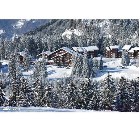 Studio Au Pied Des Pistes Avec Vue Sur La Montagne Mieussy Eksteriør billede