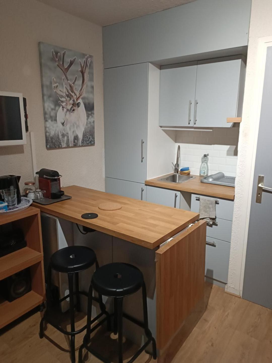 Studio Au Pied Des Pistes Avec Vue Sur La Montagne Mieussy Eksteriør billede