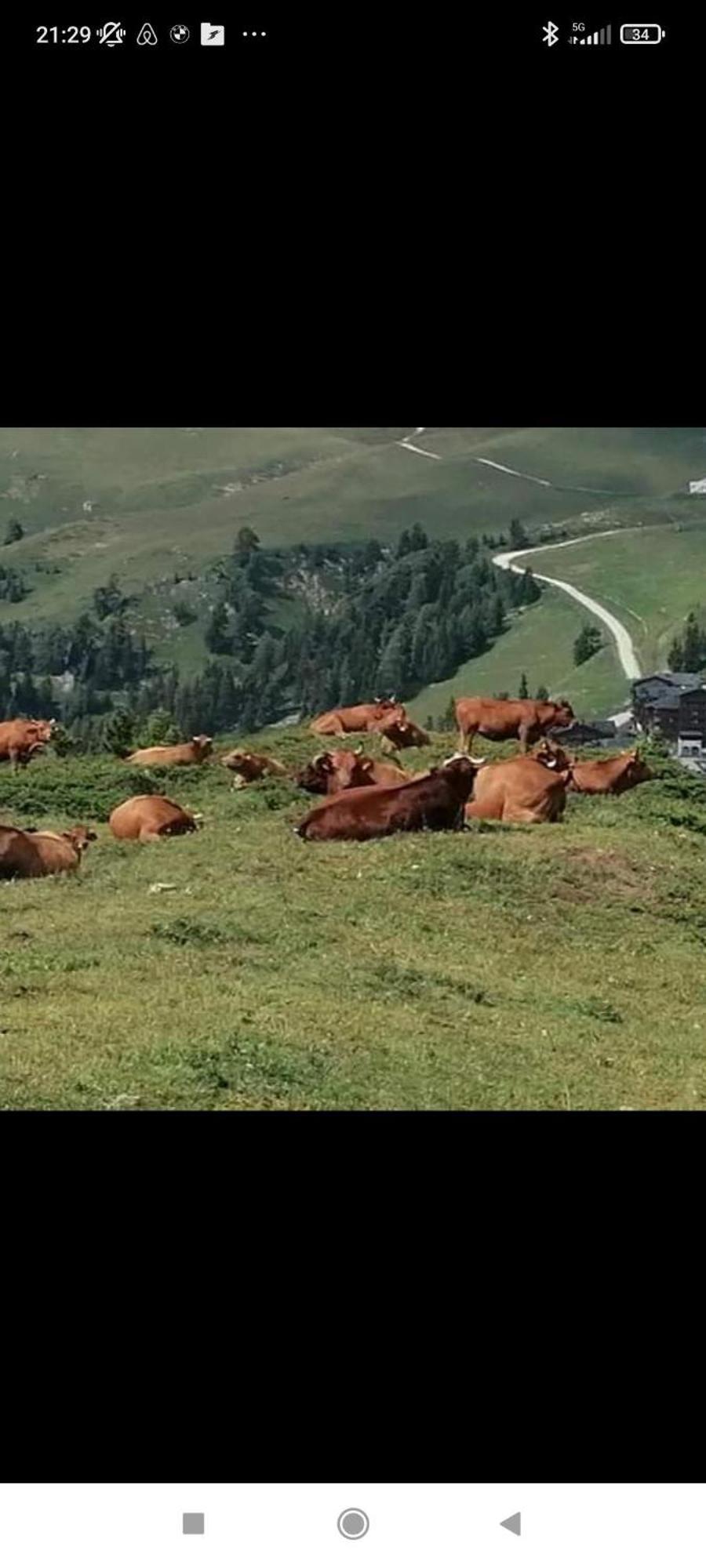 Studio Au Pied Des Pistes Avec Vue Sur La Montagne Mieussy Eksteriør billede